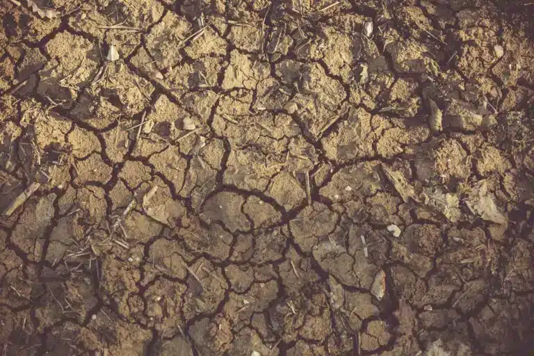 drought-768x512.jpeg