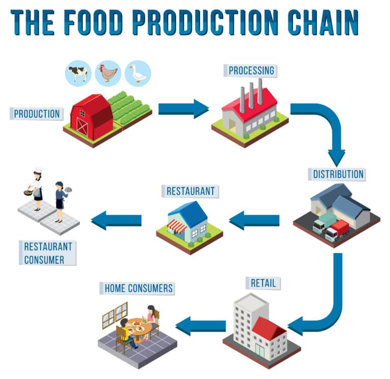 Food Production Chain