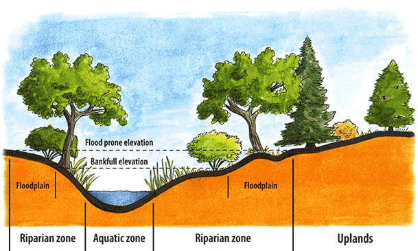 streams101-12b