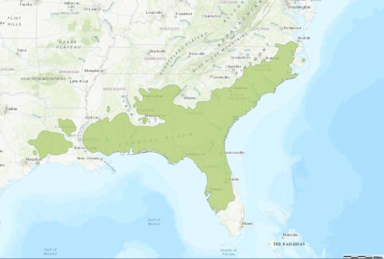 Where Is The Longleaf Ecosystem Quest For The Longleaf Pine Ecosystem