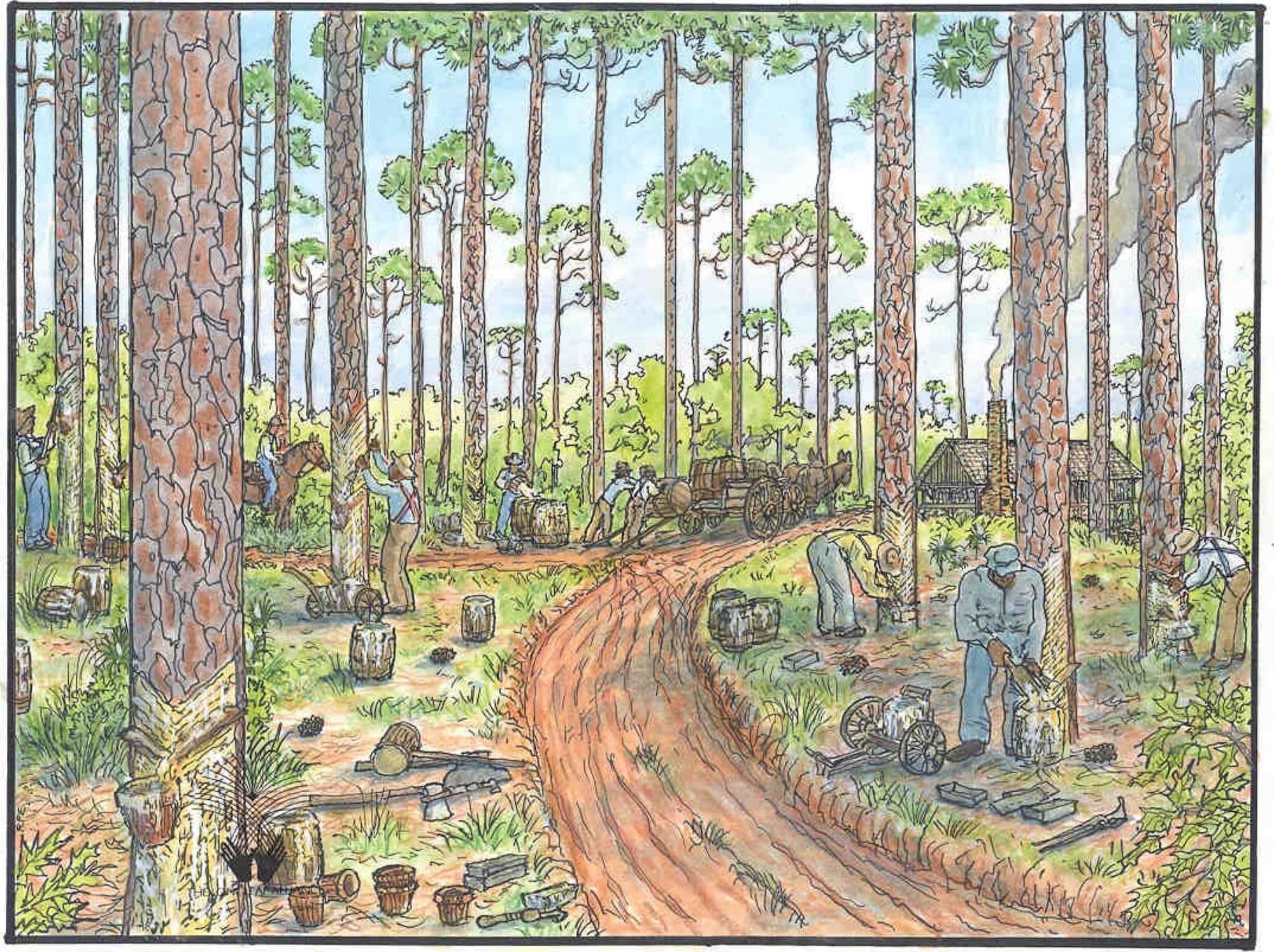 In the early decades of the twentieth century, the longleaf pine region was responsible for producing 70 percent of the world's supply of naval stores – the collective name for products such as tar, pitch, spirits of turpentine and rosin obtained from the pine tree.