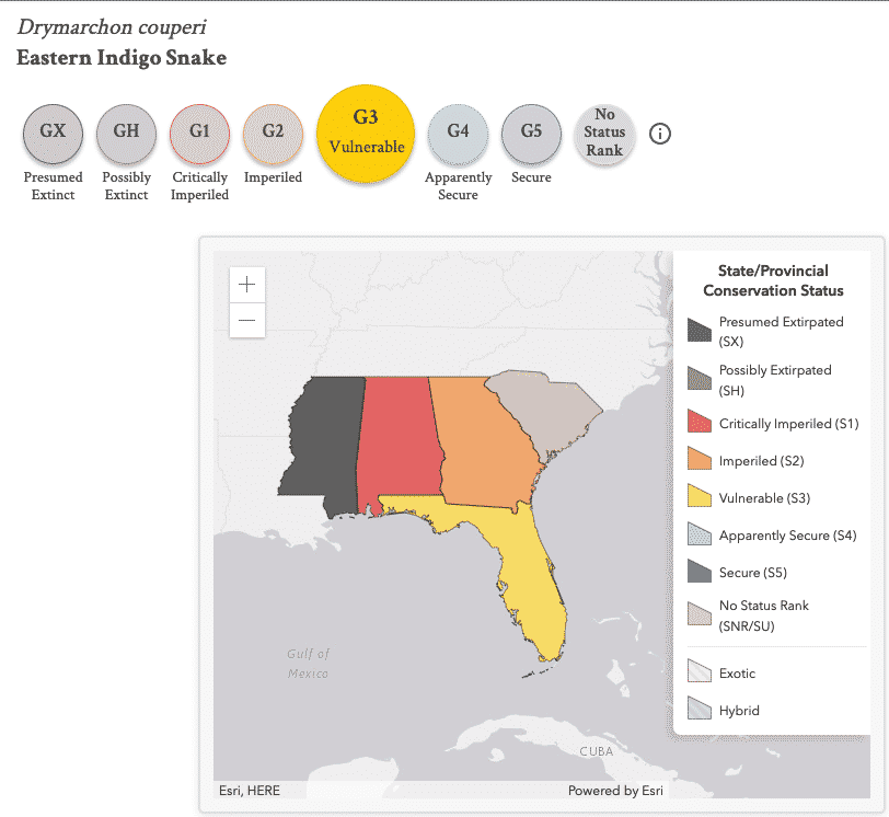 State level conservation status. NatureServe Explorer