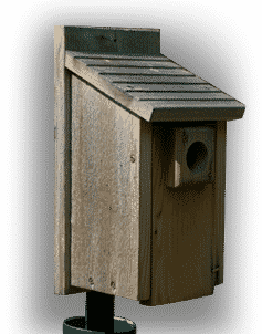 nestbox-real