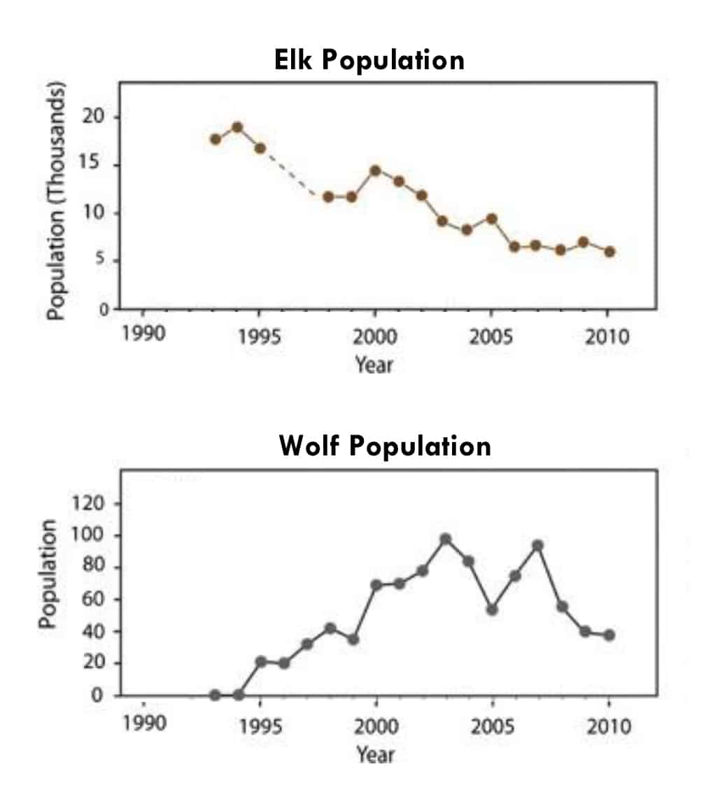 Wolves Yellowstone National Park Food Web / Yellowstone National Park ...